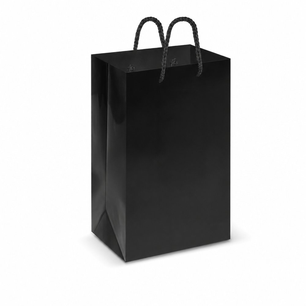 Small Laminated Paper Bags, Branded Carry Bag