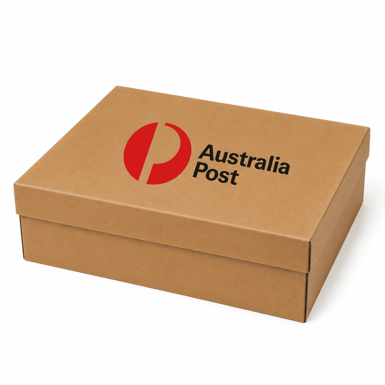 Kraft Cardboard Presentation Box, Large