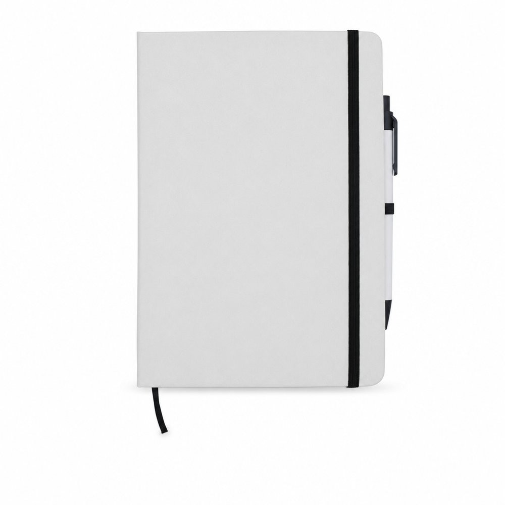 Recycled Milk Carton Notebook and Pen Set